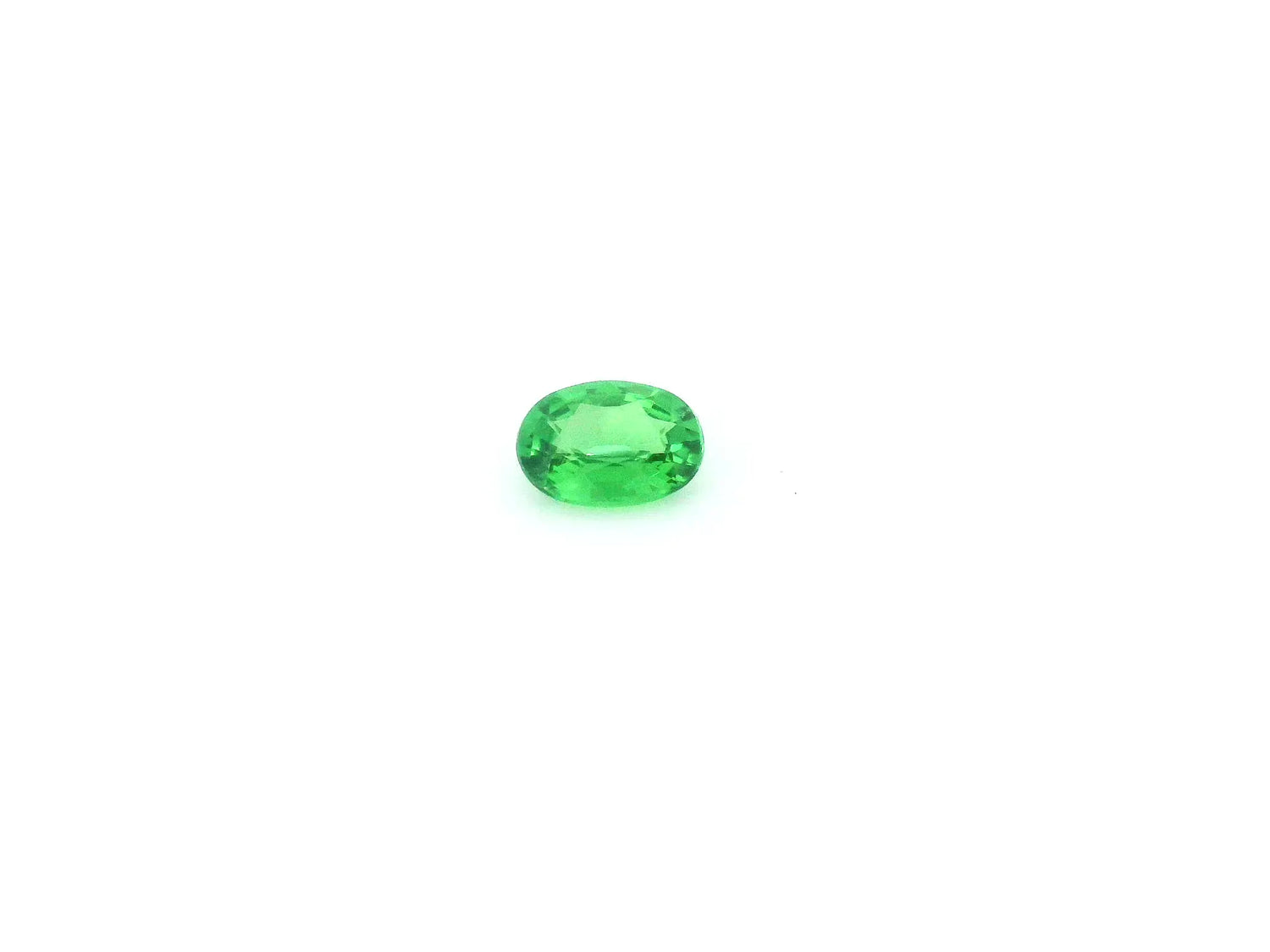 0.28ct Oval Natural Garnet (Colour Green, Clarity Slightly Included, Cut Faceted)