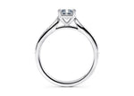 Victoria Diamond Band Platinum Radiant Engagement Ring