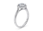 Hampstead Halo Platinum Round Engagement Ring