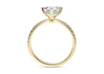 Asteria Compass Diamond Band Yellow Gold 18k Princess Engagement Ring