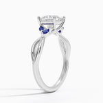 Willow Ring With Sapphire Accents Platinum Princess Engagement Ring