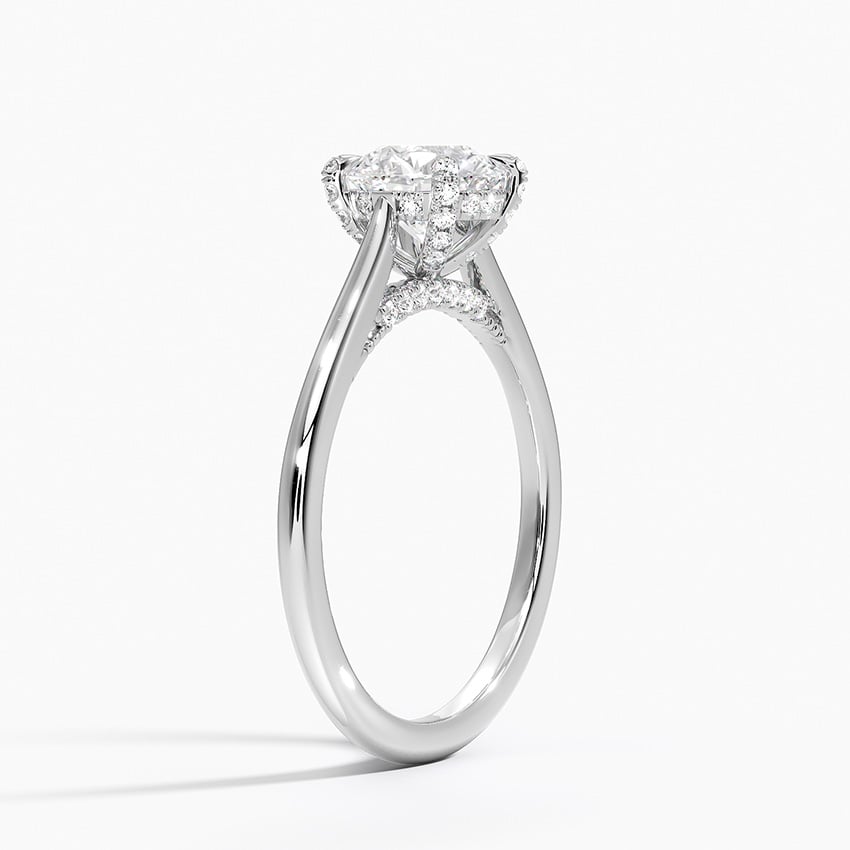 Adorned Dawn Diamond Ring Platinum Round Engagement Ring