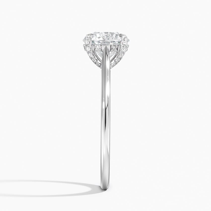 Adorned Dawn Diamond Ring Platinum Round Engagement Ring