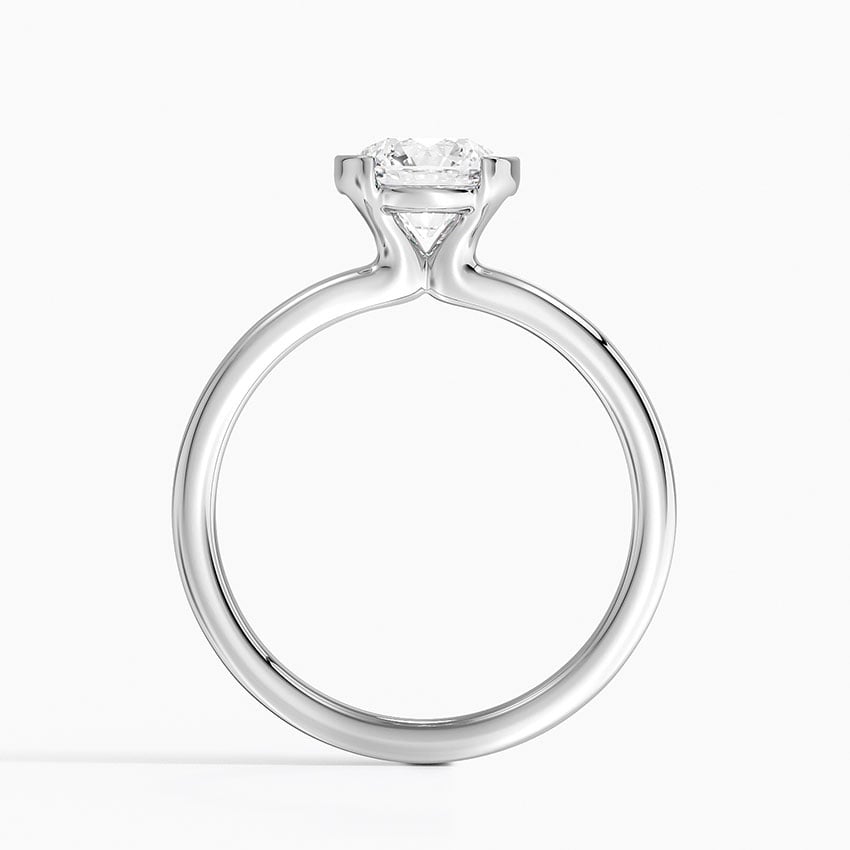 Annika Semi-Bezel Solitaire Ring Platinum Round Engagement Ring
