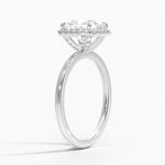 Vienna Halo Diamond Ring Platinum Princess Engagement Ring