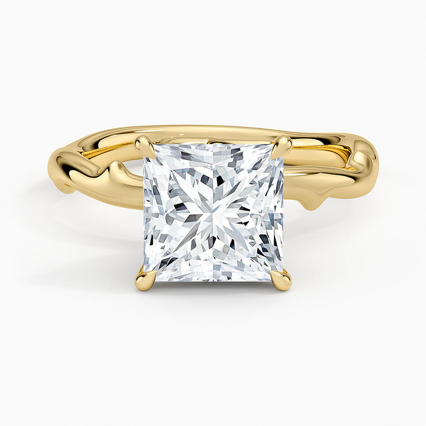 Rose Thorn Hidden Accent Diamond Ring (1/4 ct. tw.) Yellow Gold 18k Princess Engagement Ring