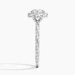 Nova Halo Diamond Ring (1/2 ct. tw.) Platinum Round Engagement Ring