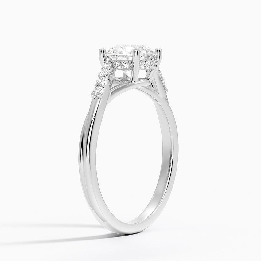 Chamise Hidden Halo Diamond Ring Platinum Round Engagement Ring