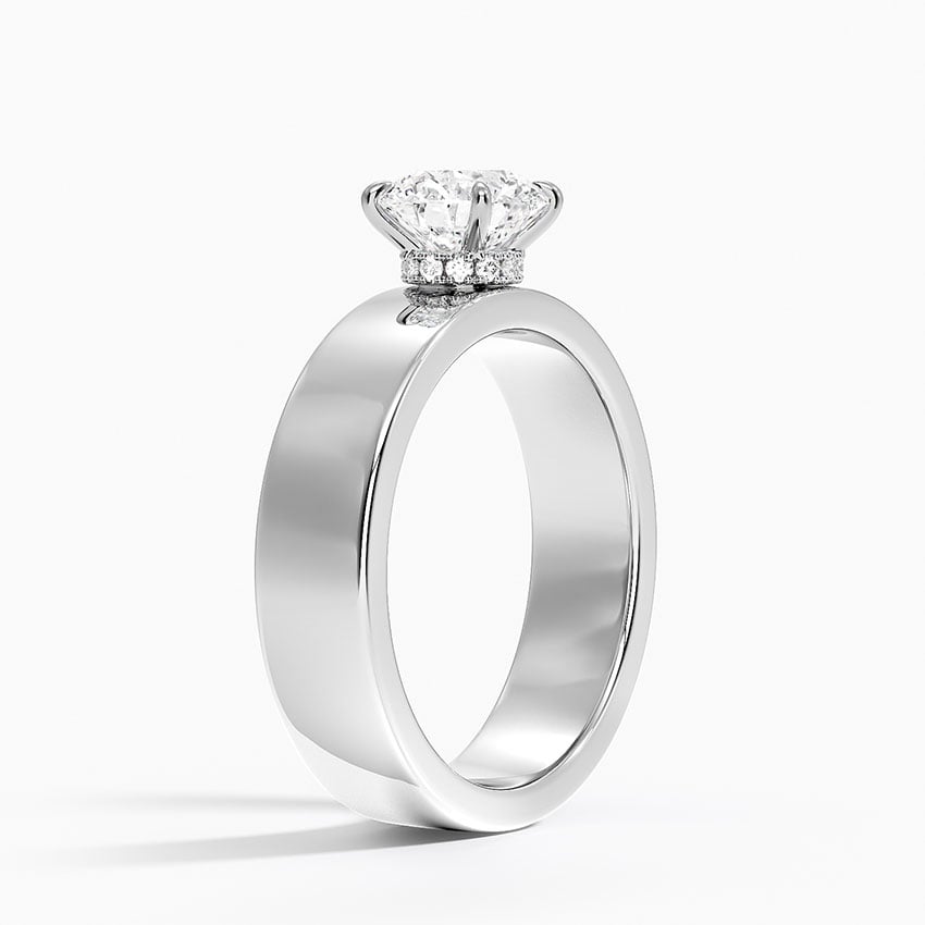 Alden Diamond Ring Platinum Round Engagement Ring