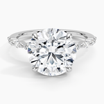 Delicate Versailles Diamond Ring Platinum Round Engagement Ring