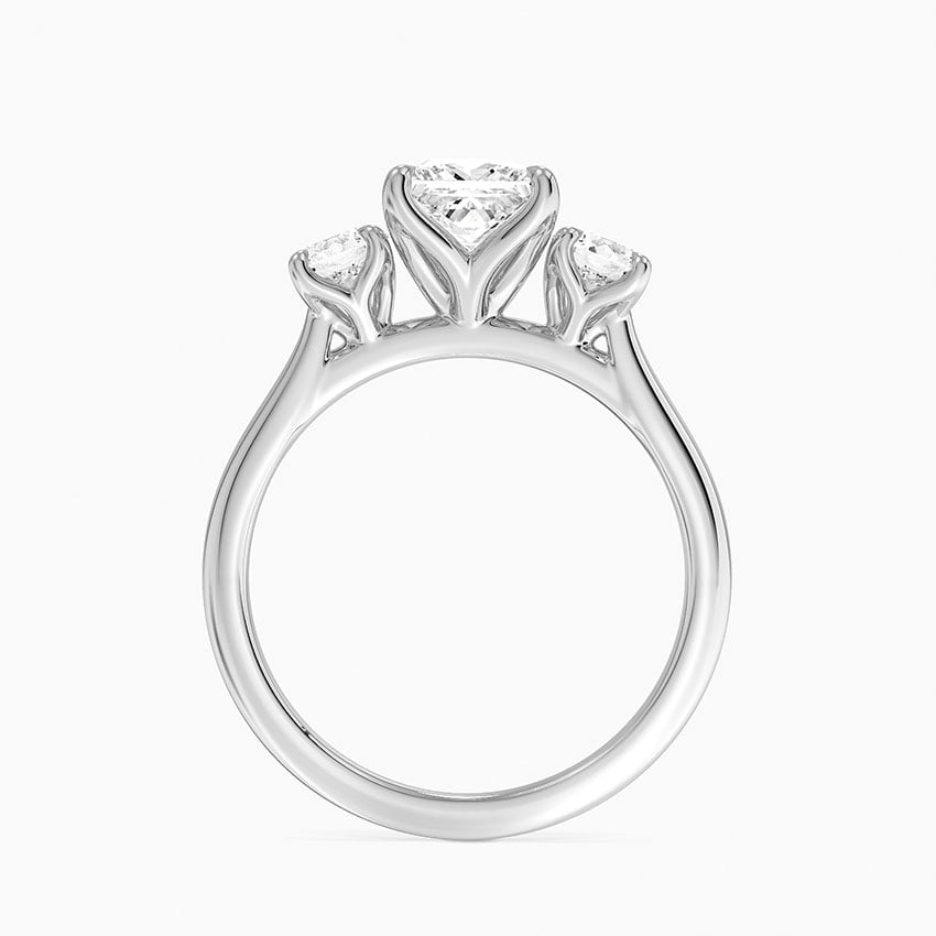 Elodie Perfect Fit Three Stone Diamond Ring (1/2 ct. tw.) Platinum Princess Engagement Ring