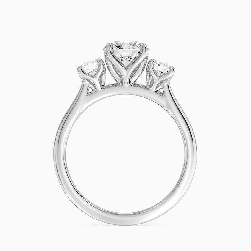 Elodie Perfect Fit Three Stone Diamond Ring (1/2 ct. tw.) Platinum Round Engagement Ring