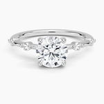 Aimee Hidden Halo Diamond Ring Platinum Round Engagement Ring