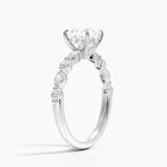 Versailles Hidden Halo Diamond Ring Platinum Princess Engagement Ring