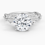 Secret Garden Diamond Ring (1/2 ct. tw.) Platinum Round Engagement Ring