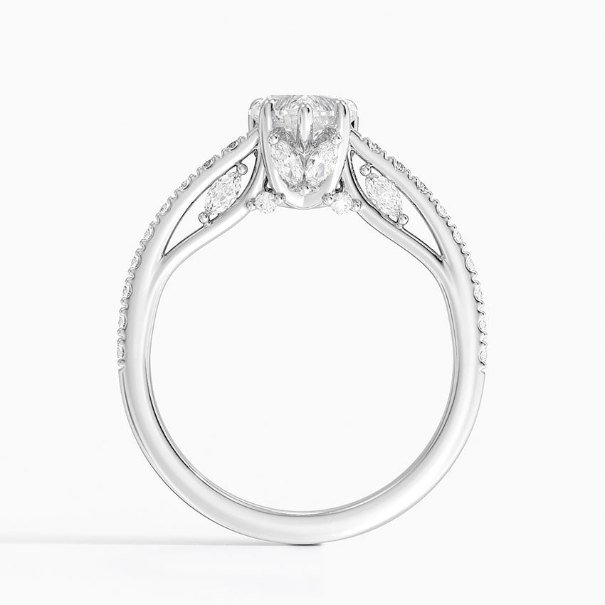 Secret Garden Adorned Gallery Diamond Ring (1/2 ct. tw.) Platinum Heart Engagement Ring