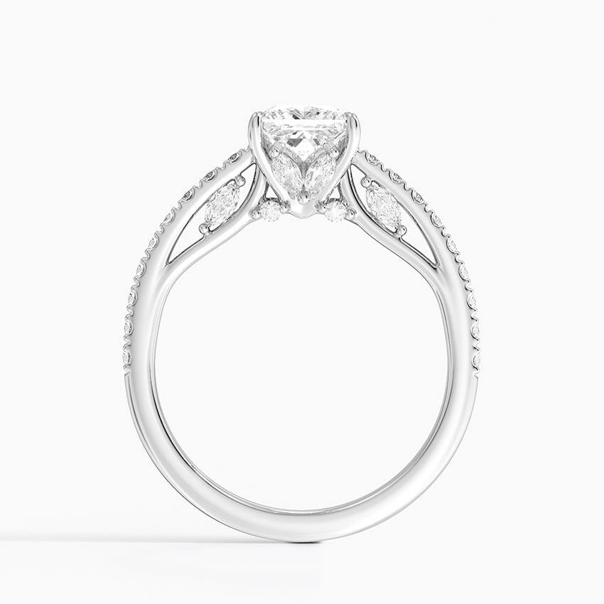 Secret Garden Adorned Gallery Diamond Ring (1/2 ct. tw.) Platinum Princess Engagement Ring