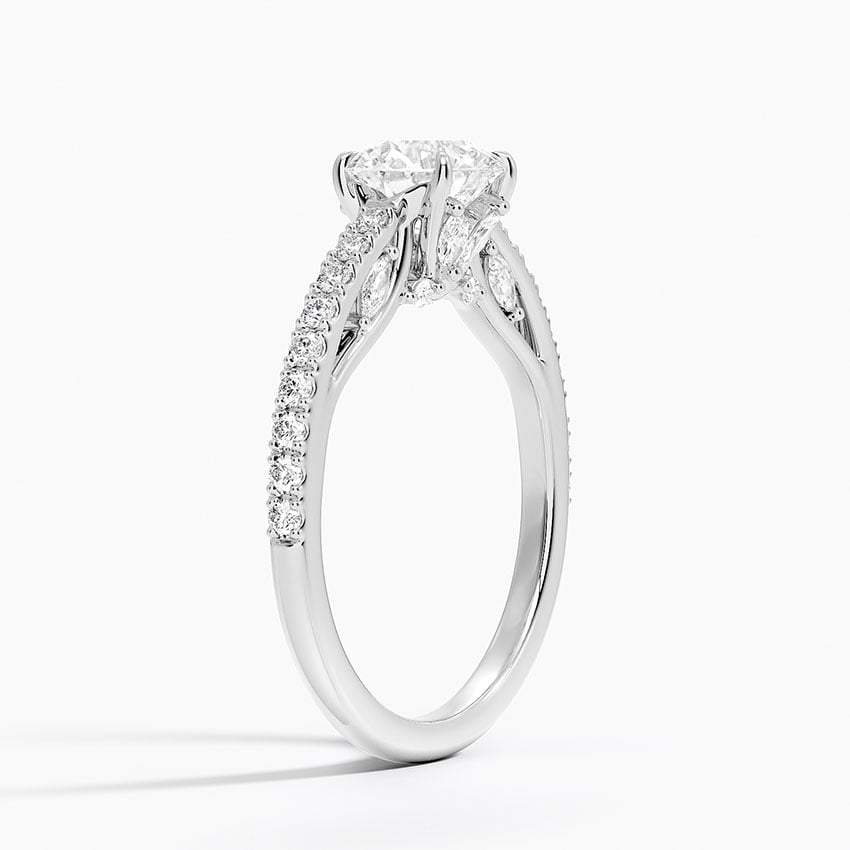 Secret Garden Adorned Gallery Diamond Ring (1/2 ct. tw.) Platinum Round Engagement Ring