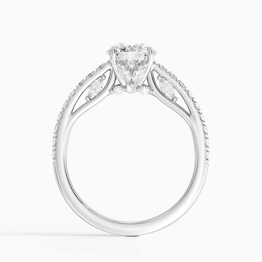 Secret Garden Adorned Gallery Diamond Ring (1/2 ct. tw.) Platinum Round Engagement Ring