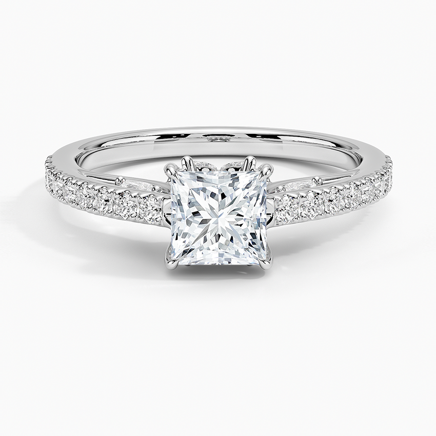 Secret Garden Adorned Gallery Diamond Ring (1/2 ct. tw.) Platinum Princess Engagement Ring