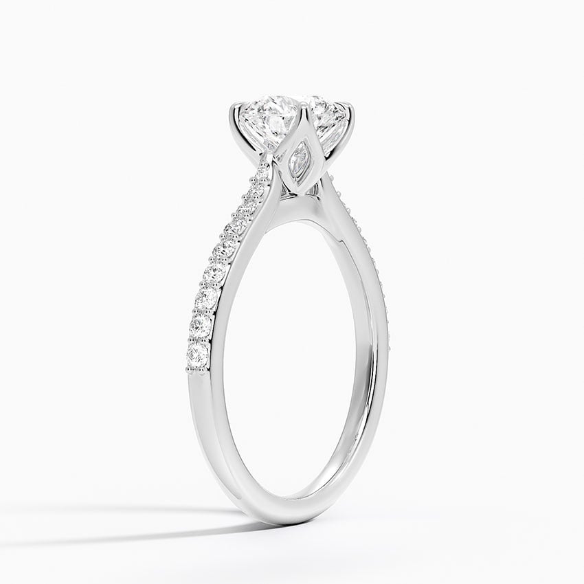 Elodie Cathedral Diamond Ring Platinum Round Engagement Ring