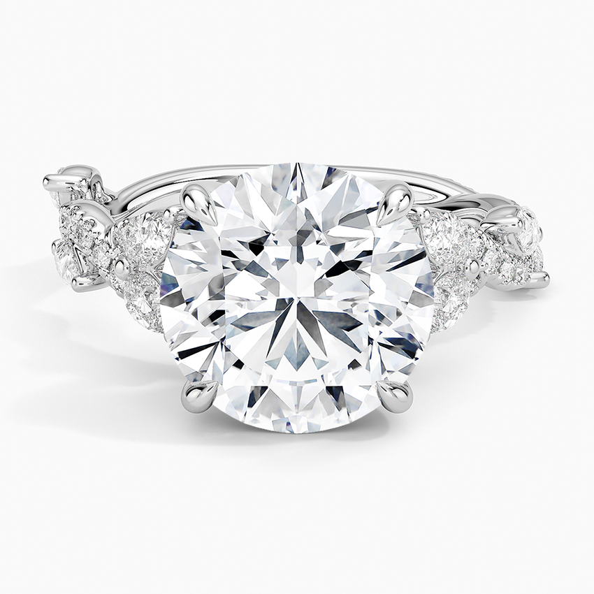 Vintage Secret Garden Diamond Ring (2/3 ct. tw.) Platinum Round Engagement Ring