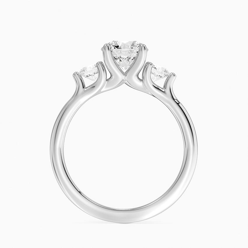 Freesia Three Stone Diamond Ring (1/3 ct. tw.) Platinum Round Engagement Ring