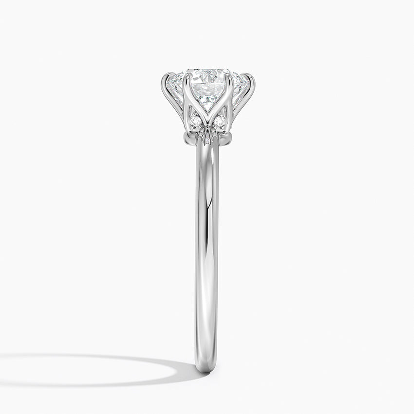 Esme Hidden Halo Diamond Ring Platinum Round Engagement Ring