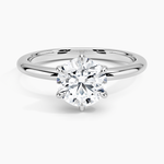 Esme Hidden Halo Diamond Ring Platinum Round Engagement Ring