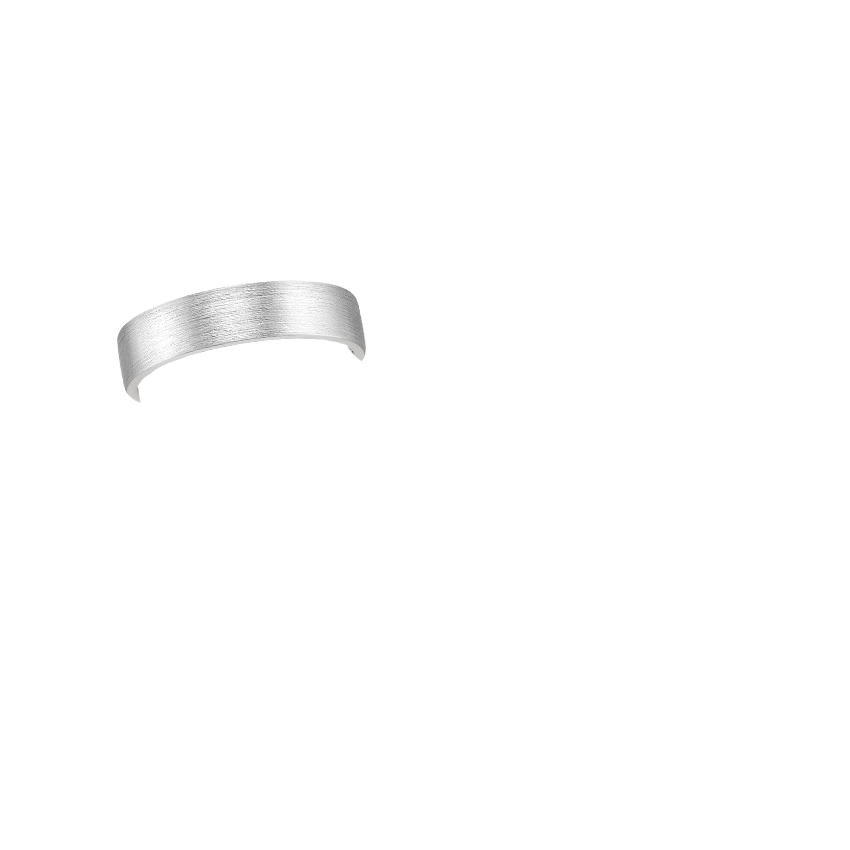 Mojave Matte 5.5mm Wedding Ring Platinum Wedding Band