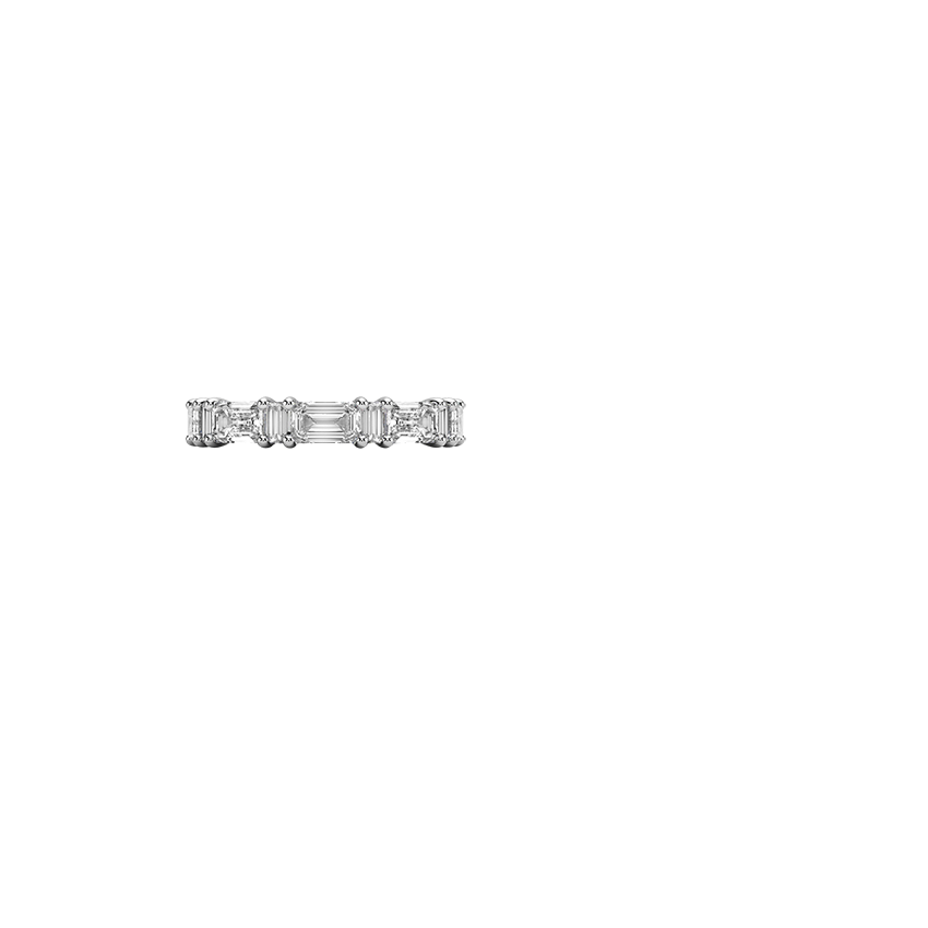Frances Eternity Lab Diamond Ring Platinum Eternity Band
