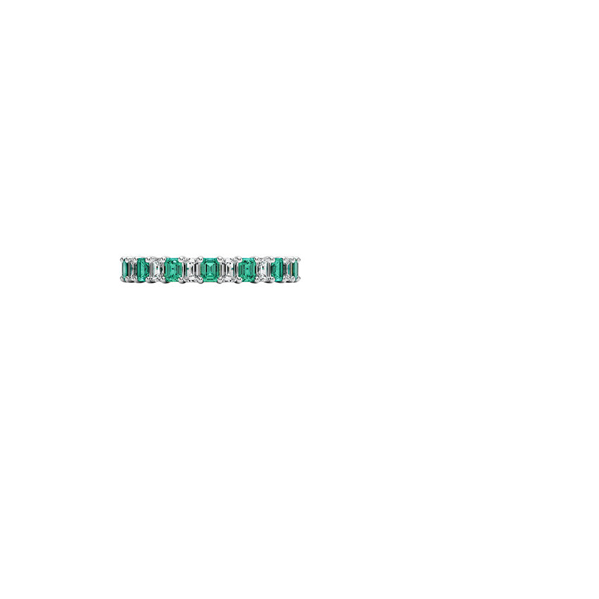 Eternity Lab Emerald and Diamond Ring Platinum Eternity Band