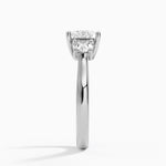 Petite Three Stone Trellis Diamond Ring (1/3 ct. tw.) Platinum Princess Engagement Ring