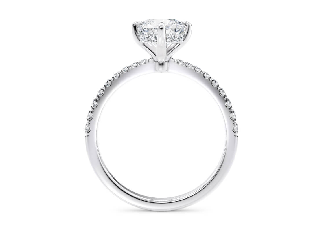 Asteria Compass Diamond Band Platinum Round Engagement Ring