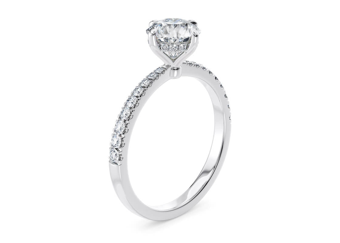 Asteria Compass Diamond Band Platinum Round Engagement Ring
