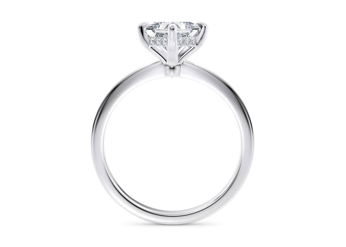 Starlight Compass Solitaire Platinum Princess Engagement Ring