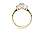 Valencia Trilogy Yellow Gold 18k Radiant Engagement Ring